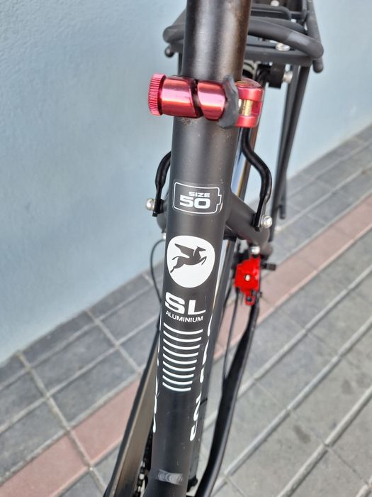 Rower Pegasus Solero