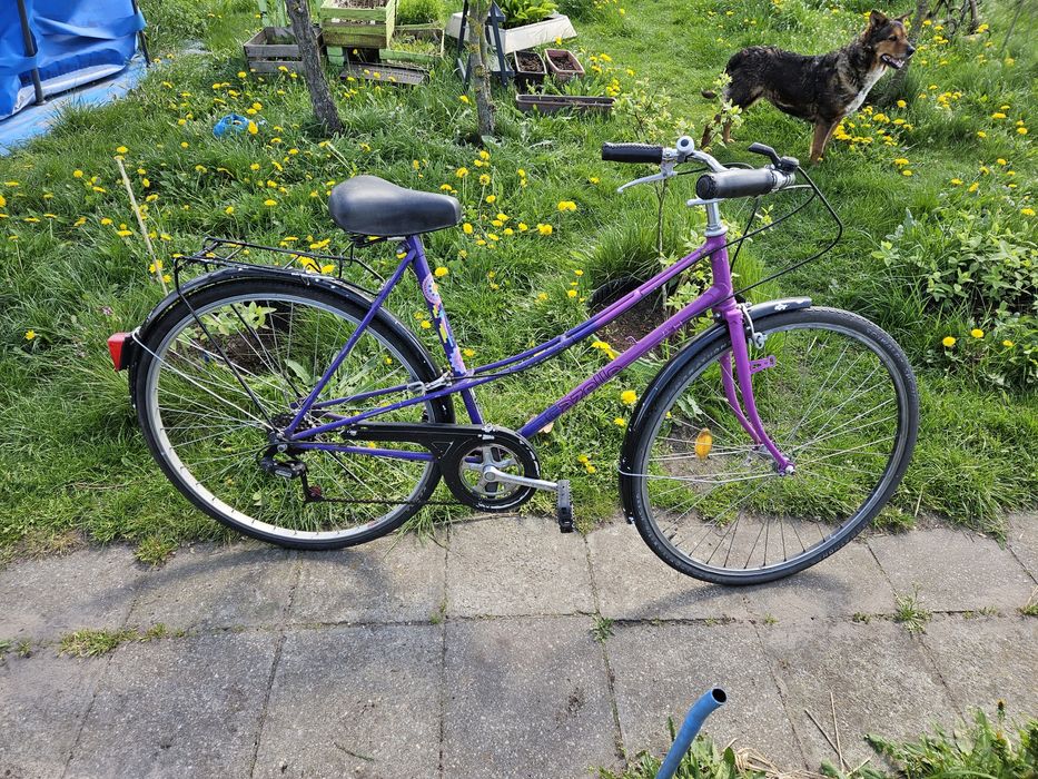 Rower damka na dużych kołach