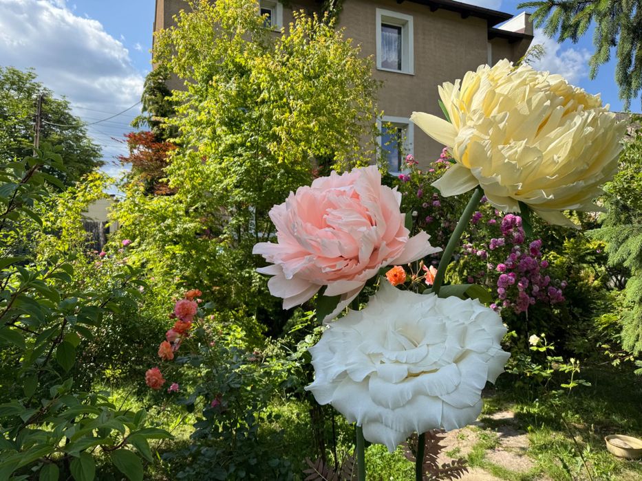 Wyspy kwiatowe. Idealne na wesele lub imprezę