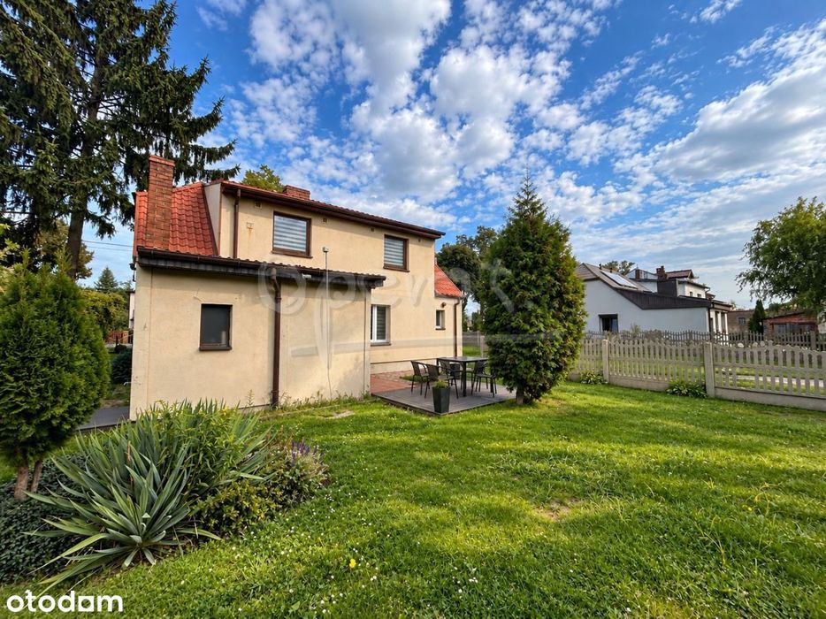 Dom – Sieroszewice, Wypychy - Widok 3