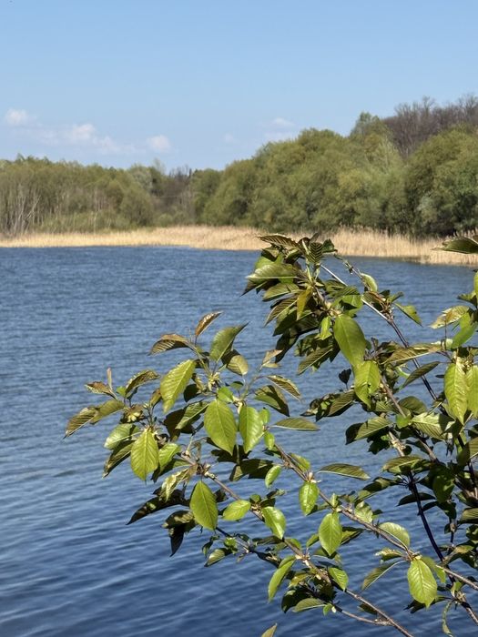 ВЛАСНІ земельні ділянки селище Високий