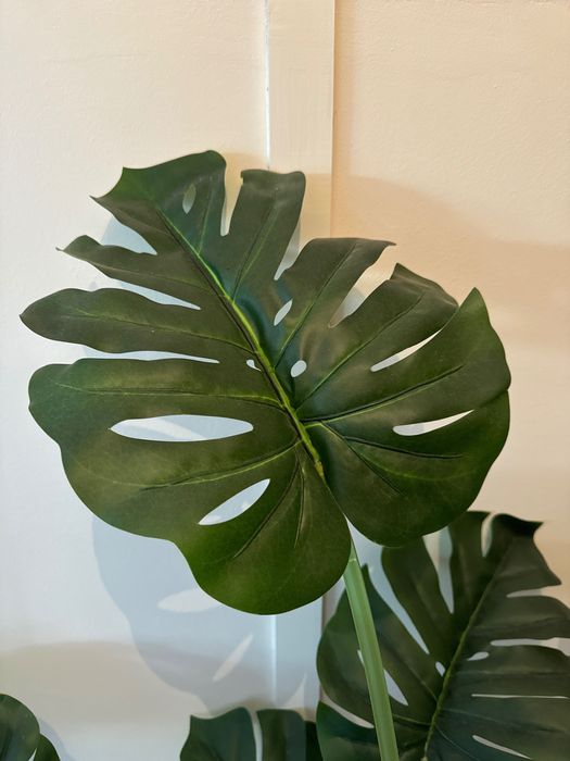 Planta Costela-de-Adão (Artificial)