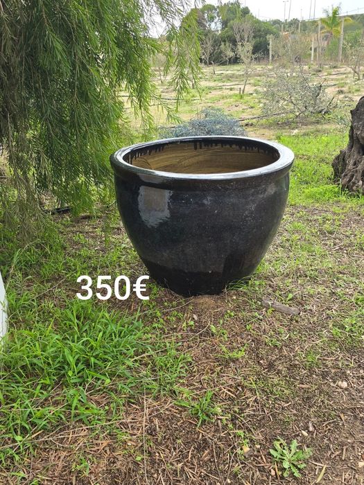 Vasos Chineses oportunidade