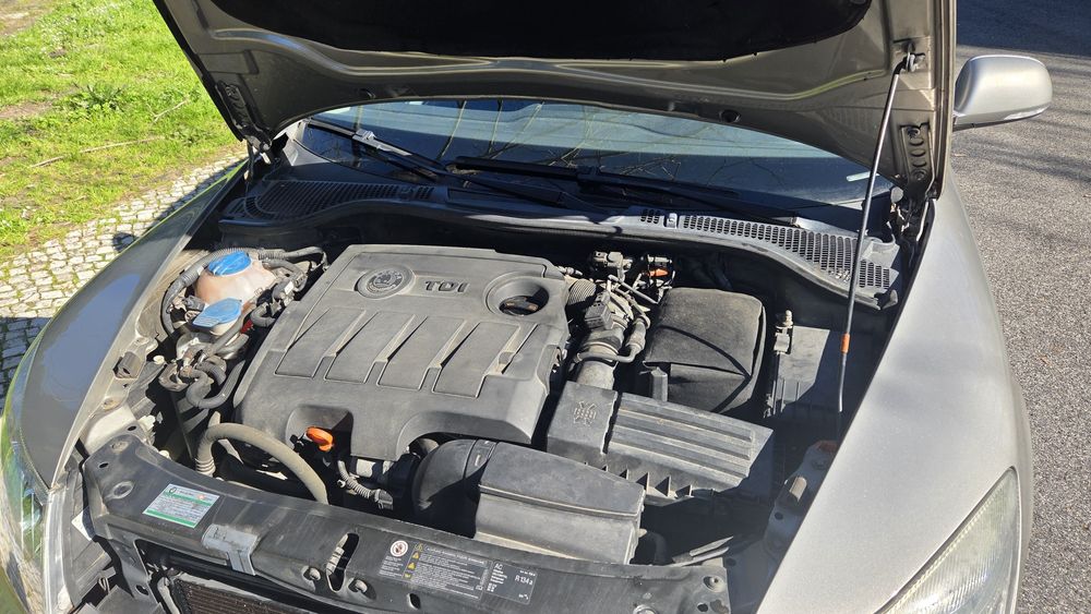 Skoda octavia greenline 1.6