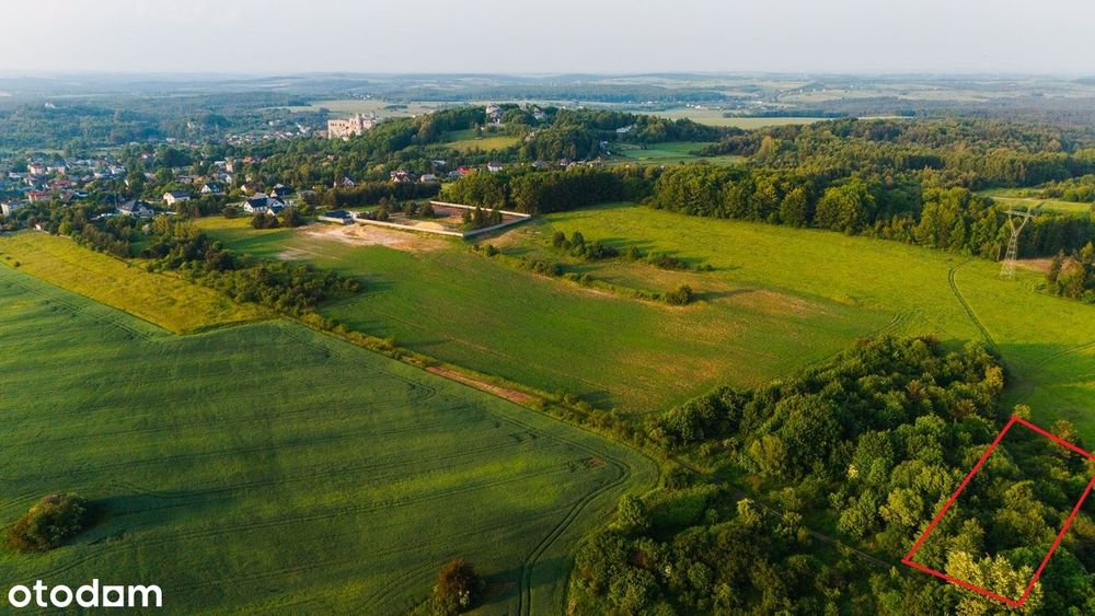 Ostatnia działka budowlana w lesie- 2173 m2 - k. Zamku Ogrodzieniec