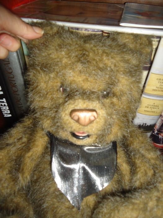 Urso -Teddy Bear