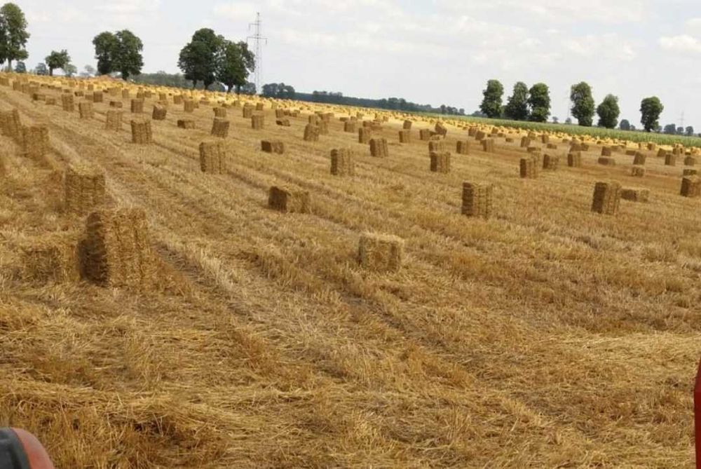 Słoma w małej kostce