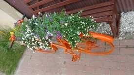 Piękny Kwietnik - rower w kolorze pomarańczowym