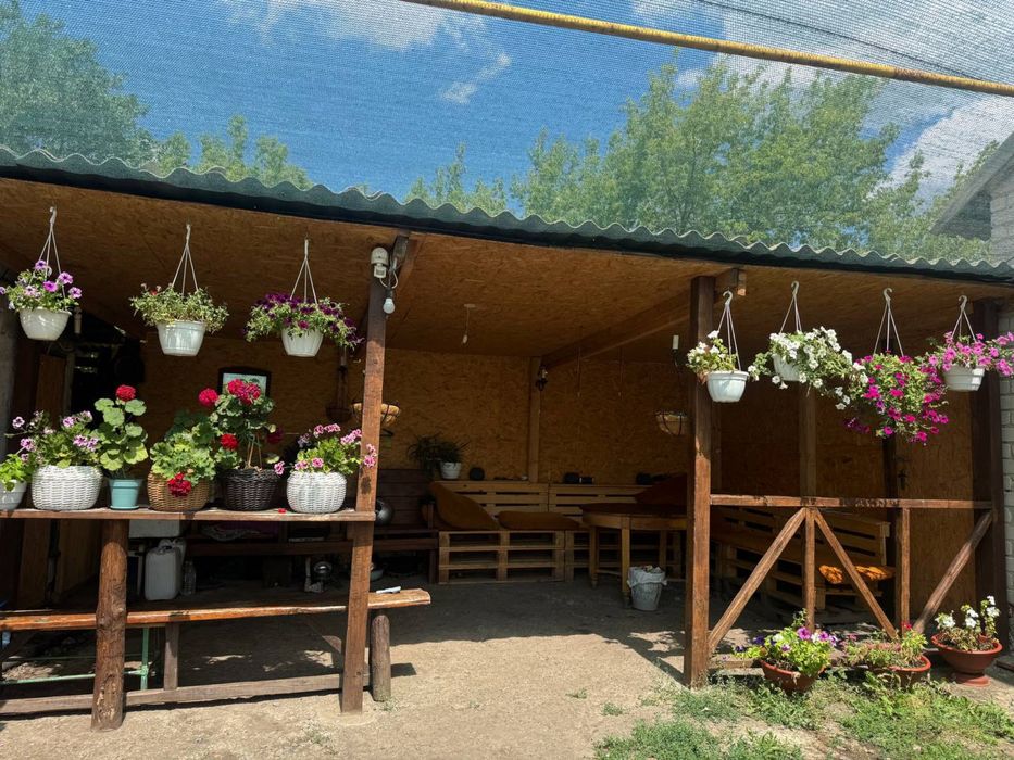 Продаж будинку в селі Хащове Самарівський район