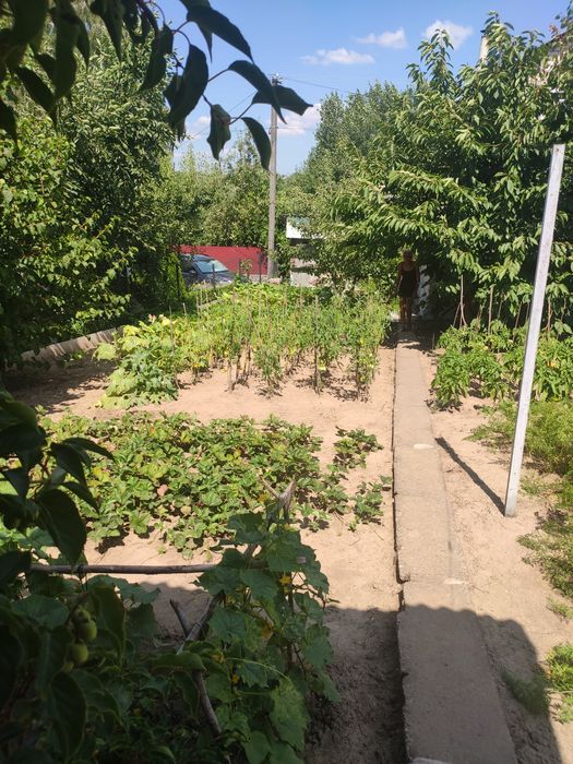 Продається дача в смт.Браїлів