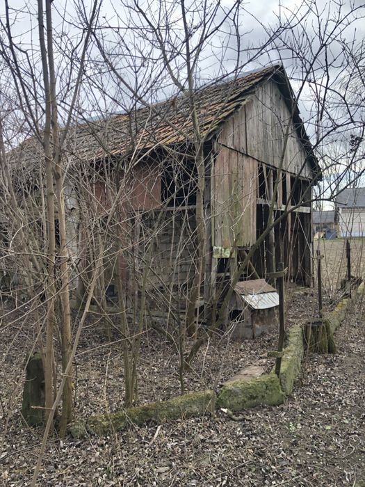 Земельна ділянка від власника 55 соток під будівництво с.Шипинці