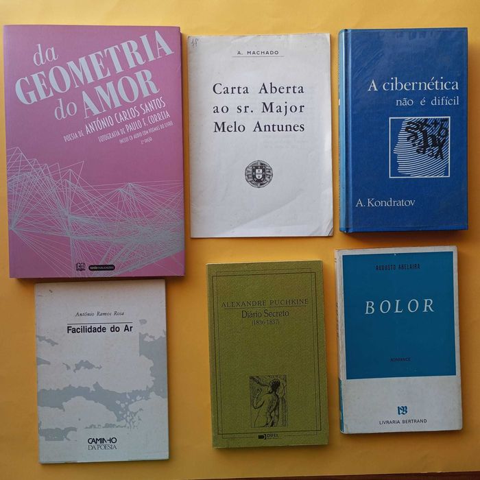 Coleção de Livros Mistos - Autores Variados - Conjunto 10