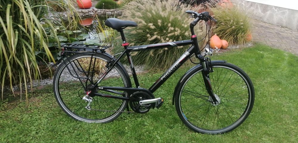 Rower Pegasus 28cali