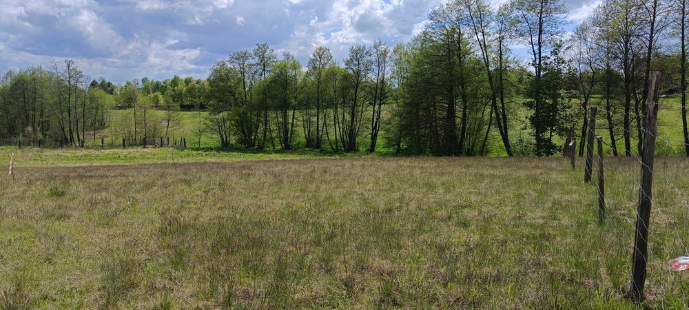 Działki pod zabudowę - Widok 5