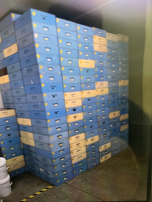 Ule wielkopolskie styropianowe Łysoń