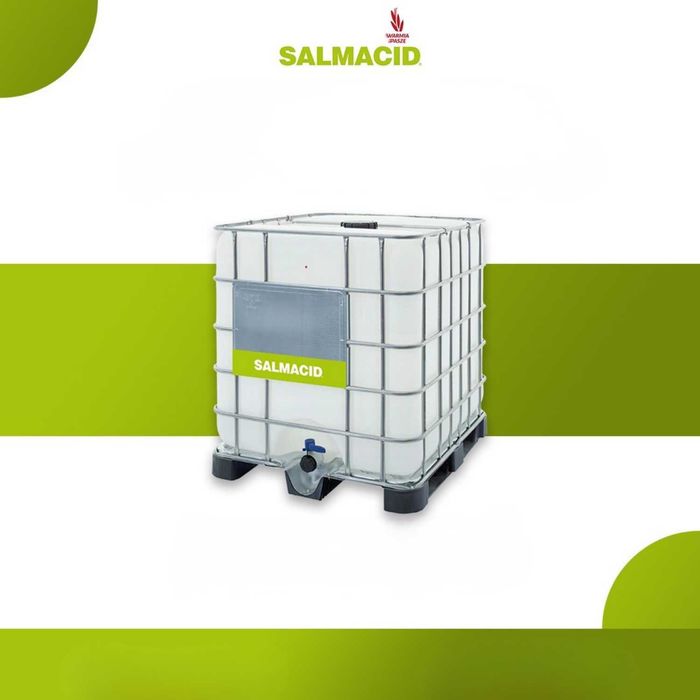 Salmacid Active Paleta 1000 l mauzer | Zakwaszacz do wody w płynie | trzoda chlewna | drób