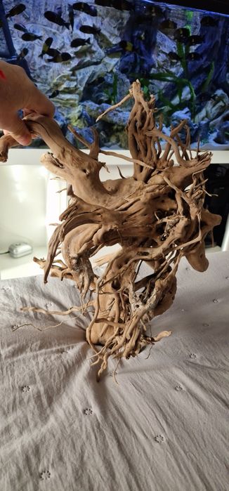 Korzeń do akwarium/terrarium