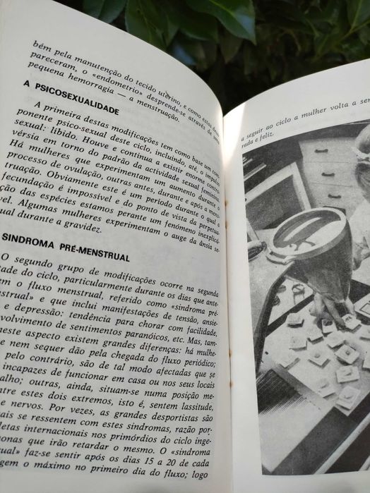 Saúde Natural: Tudo sobre os meios naturais de recuperação e vida