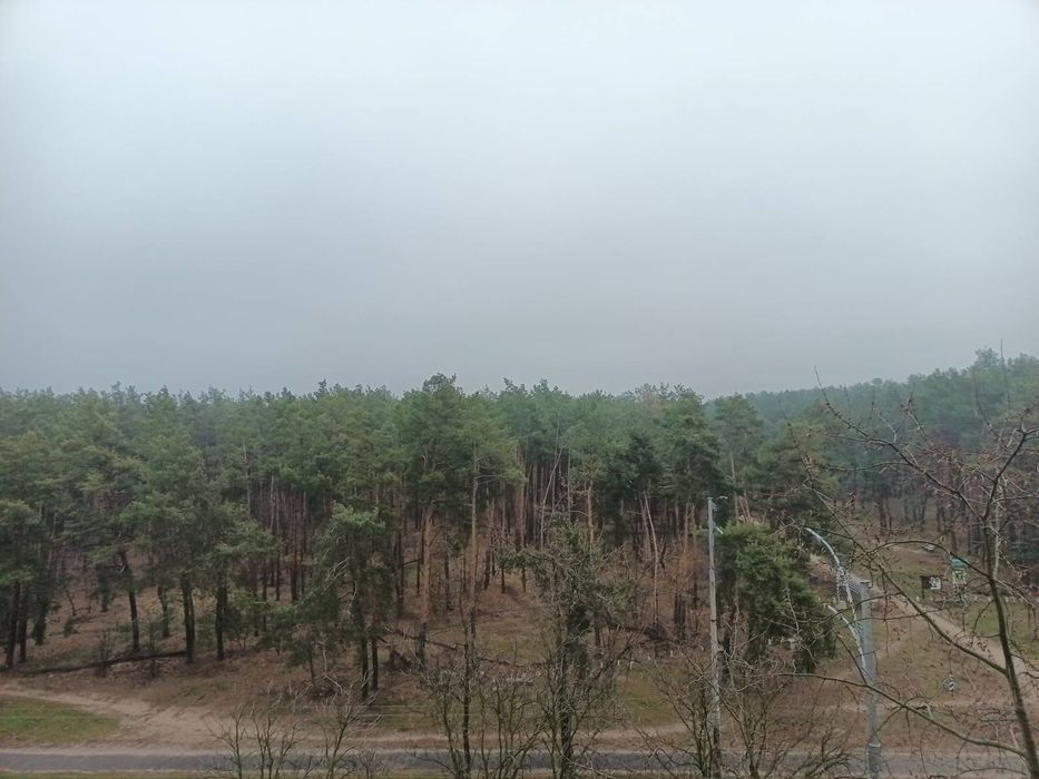 Оренда квартири Лісовий масив