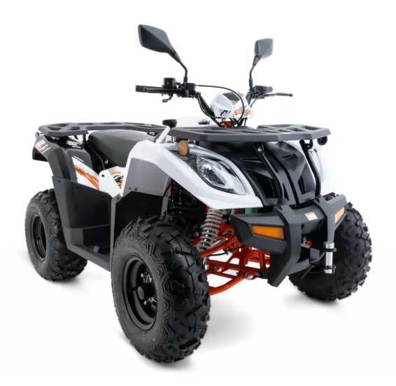 Kayo Au 300, 200,125