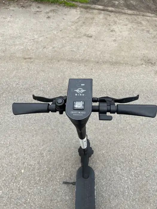 Bird One з Европи За дуже Гарячою Ціною!