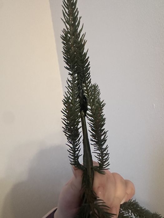 Girlanda świerk 110cm
