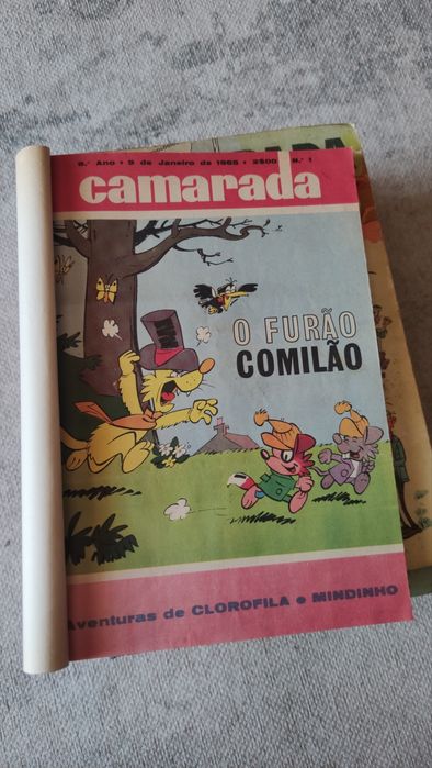 Conjunto vintage de Coleções Camarada 1959-65