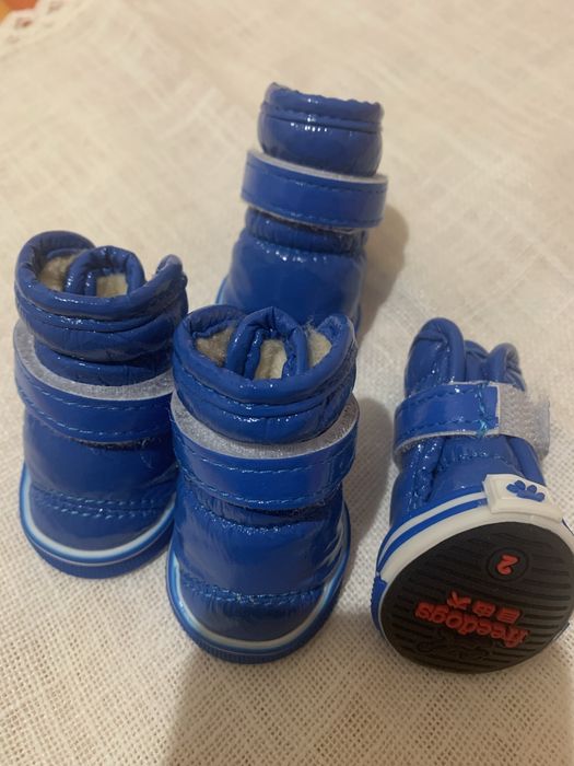 Взуття для собак малих порід