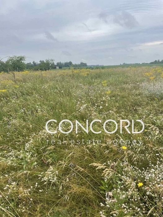 Продам ділянку під забудову. Велика Вільшанка, Щорса вул., 1