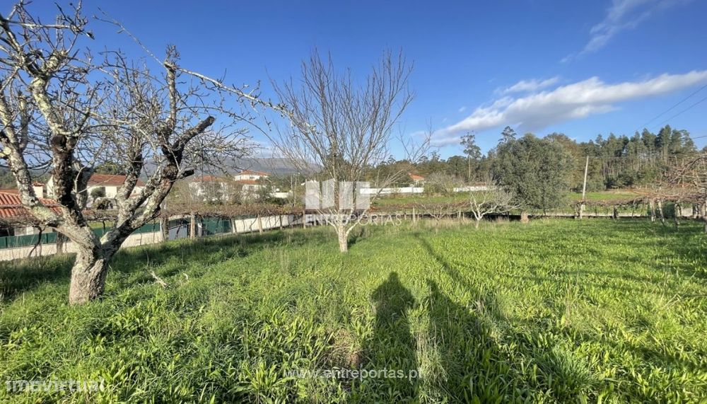 Venda de terreno para construção com 1000m², Meixedo, Viana do Cast — Nogueira, Meixedo E Vilar De Murteda, Viana do Castelo