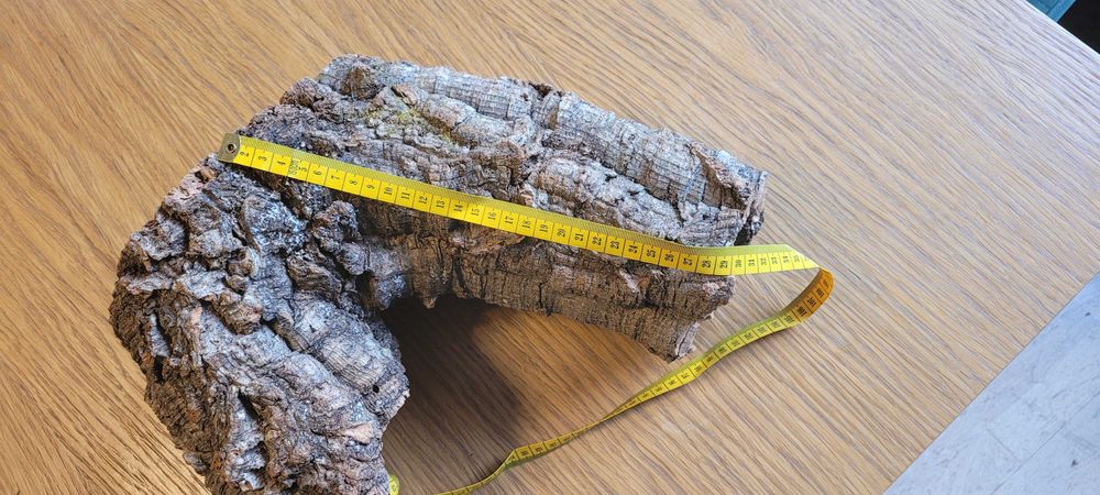 Korzeń do terrarium