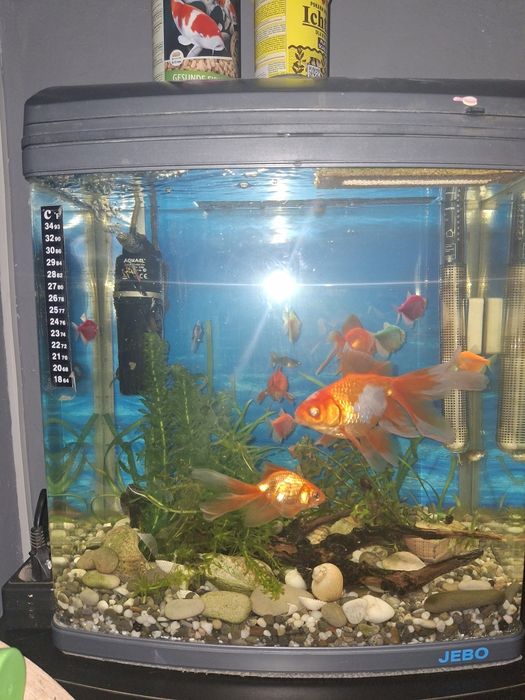 Продам Аквариум JEBO R 338