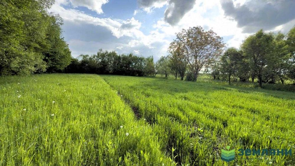 Продається ділянка 23 сот в с. Березівка (7)