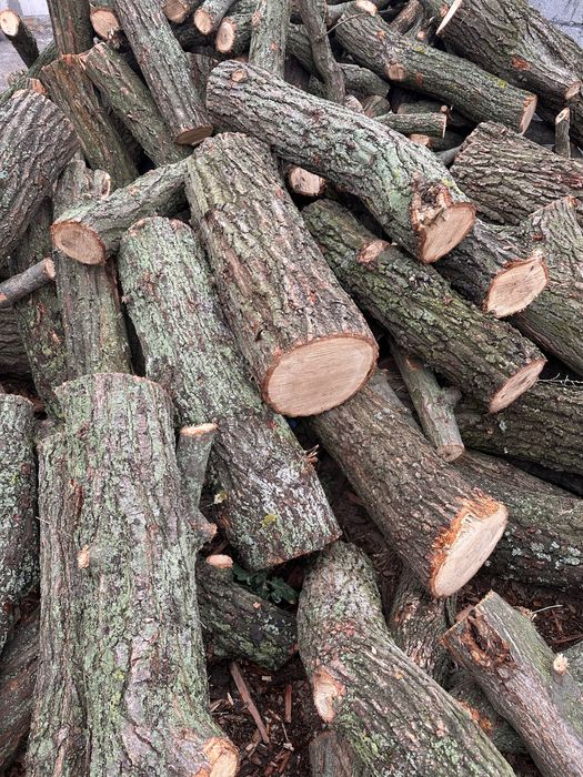 Дрова твердих порід