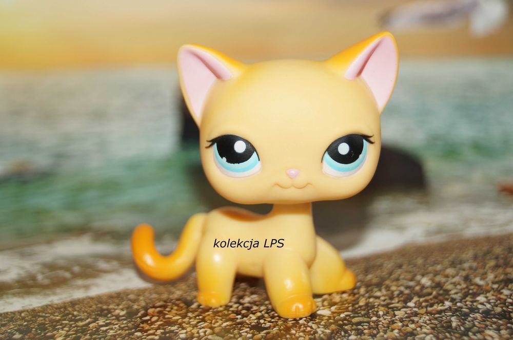 LPS Littlest Pet Shop shorthair #339 Brooklyn oryginalny pop oryginał ...