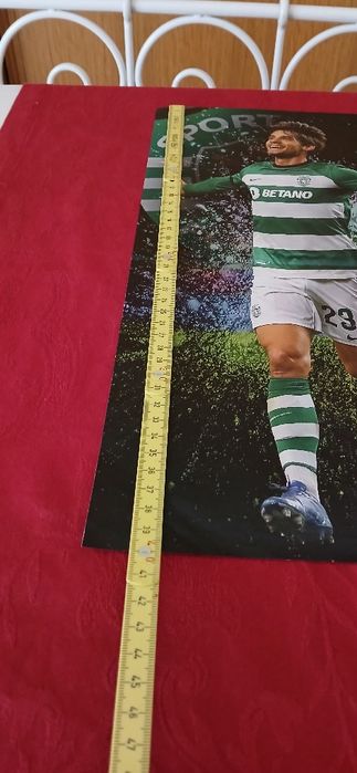 Poster Daniel Bragança