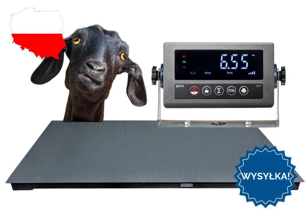 Waga inwentarzowa do gospodarstwa Do Zwierząt 1,5x2 5T DOSTAWA