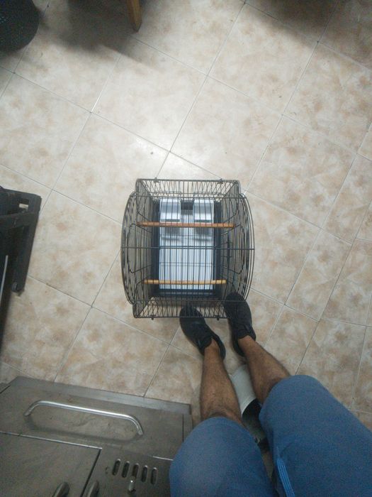 Gaiola para pássaros