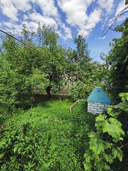 Продаж будинку с. Виводове 231  кв.м  з ділянкою 30 сот з комун.Торгуємось