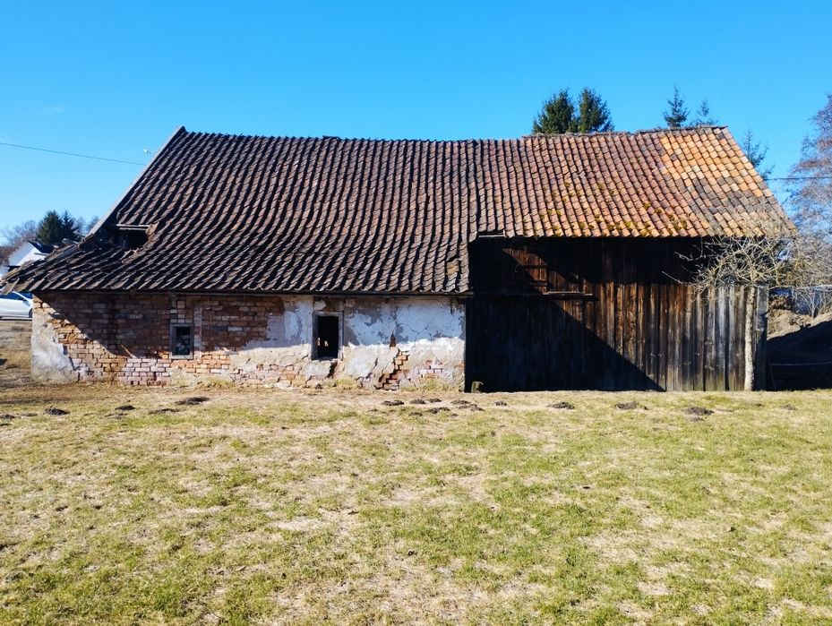 Stara Stodoła. Oddam dachówkę i cegły