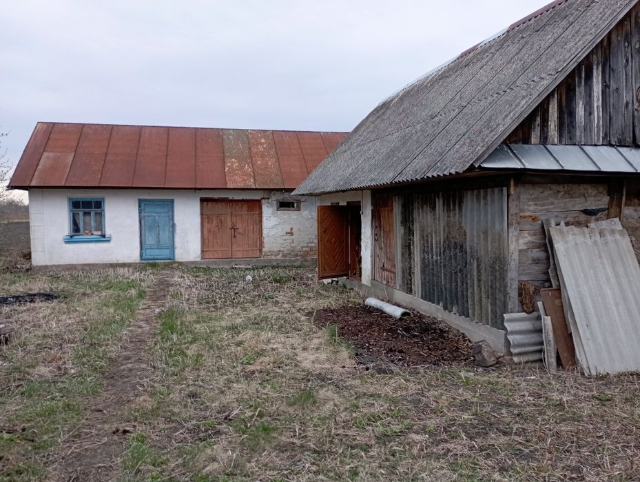 Будинок з земельною ділянкою