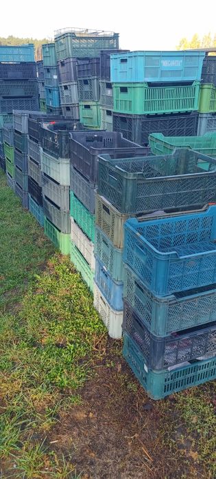 Skrzynki plastikowe na owoce / warzywa itp