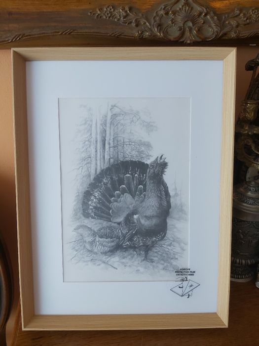 Piękna DUŻA grafika myśliwska łowiecka Głuszec. Prezent dla myśliwego