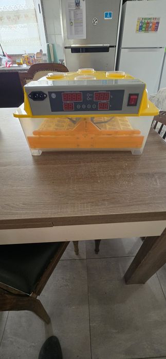Chocadeira de ovos