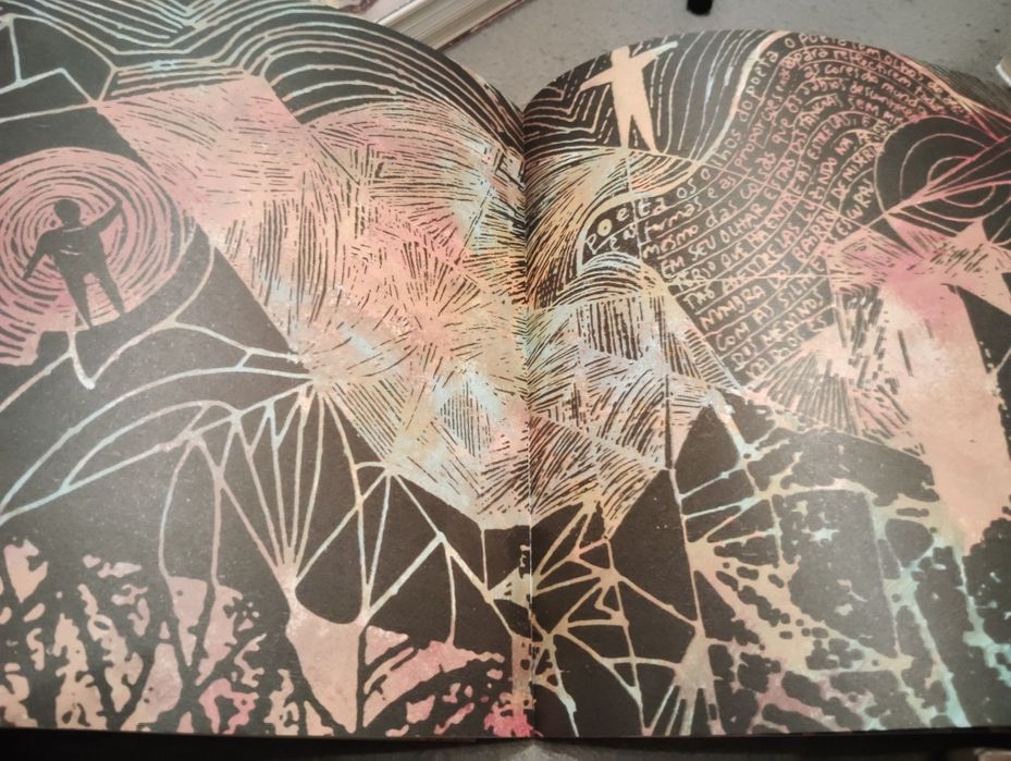 Livro Viajante do Tempo Novo