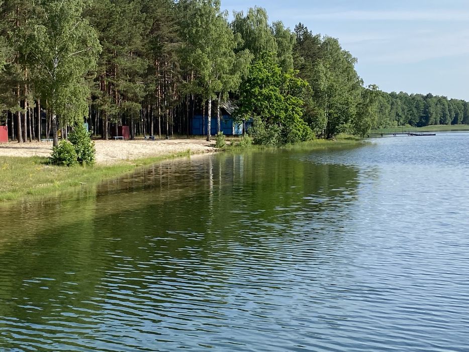 Відпочинок на Шацьких озерах ( оз. Пісочне) 50 м до озера
