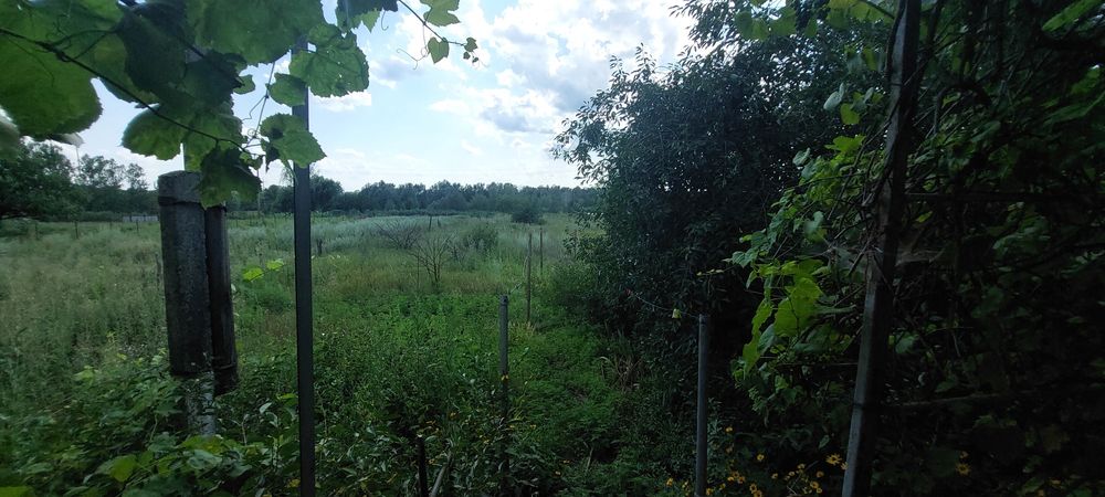 Срочно Продам дом в Солоницевке(работаем по Сертификату,Э-ВІДНОВЛЕННЯ