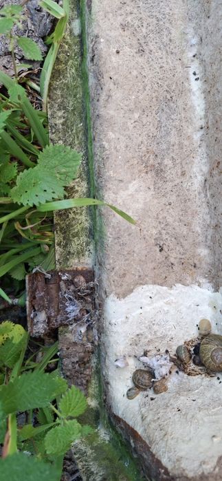 Tampa de fibra para atrelado/reboque com estrutura em ferro para tenda