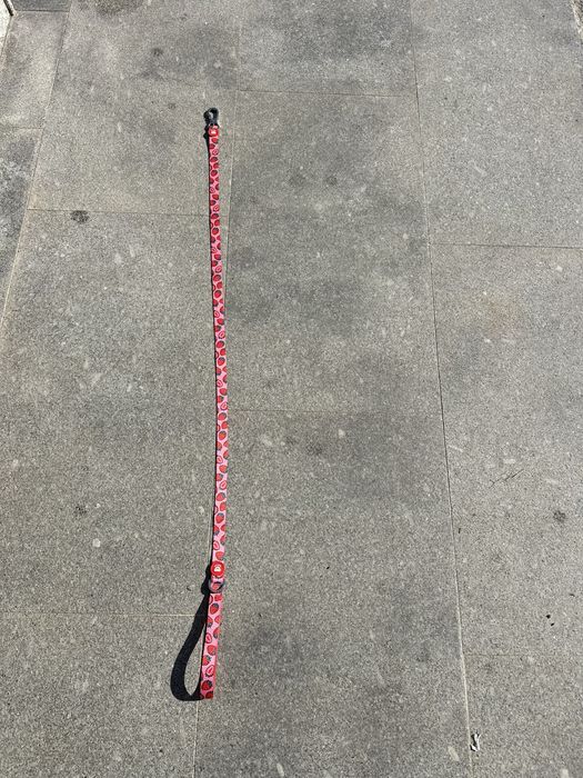 Trela cão | DUKIER