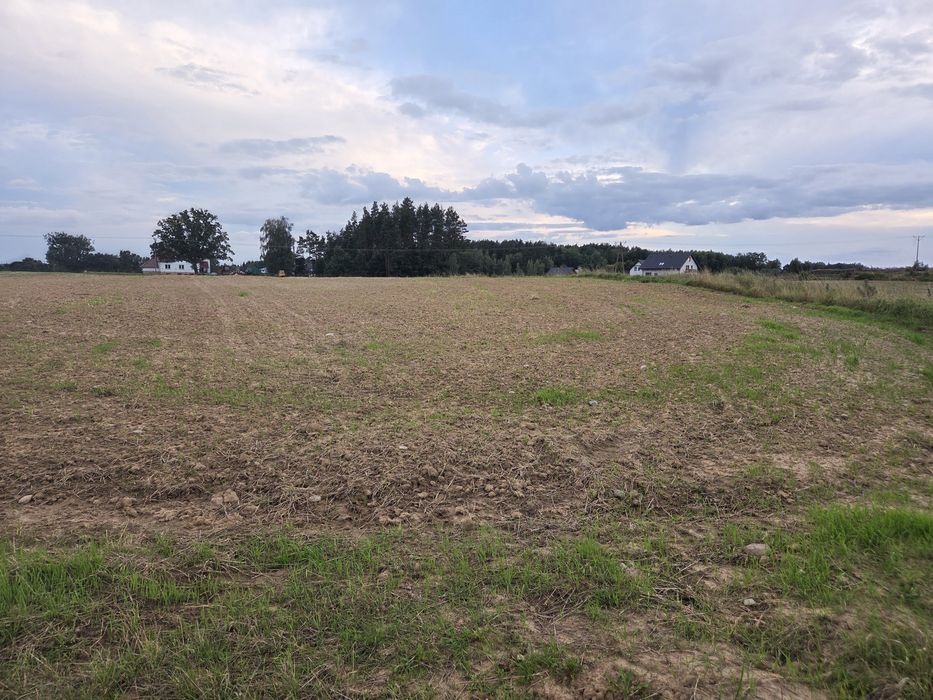 Działka budowlana ul. leśna - działka 45/36 - 1140 m² - Widok 3